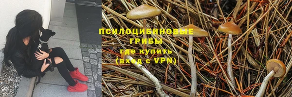 герыч Магадан